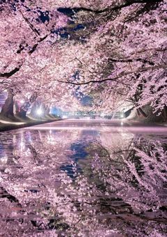 SnowManシェアハウス⛄⛄