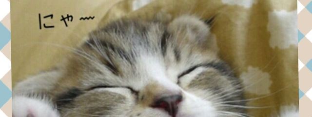 もも🌼🌙✨さんの壁紙画像