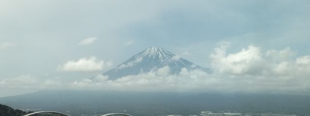 Ayaさんの壁紙画像