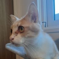 YUHAさんのアイコン画像