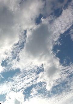 志雄さん.専用
