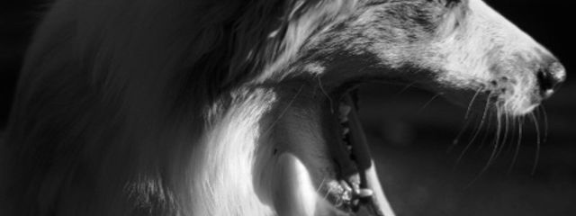 ✘‎さんの壁紙画像