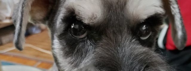 葵さんの壁紙画像