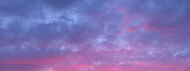 こんฅ^•ﻌ•^ฅさんの壁紙画像