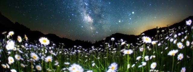 夜桜⚝⋆さんの壁紙画像