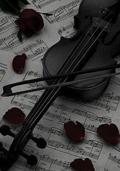 雄英生護衛中に教え子が転入してきた　。　《Njs4×hrak》