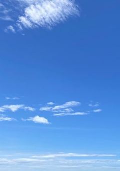 ボネクド短篇集