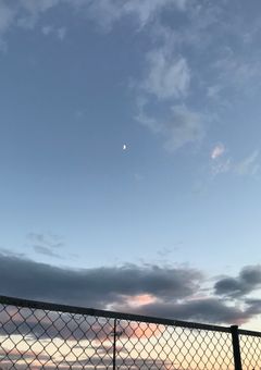 私たちの、