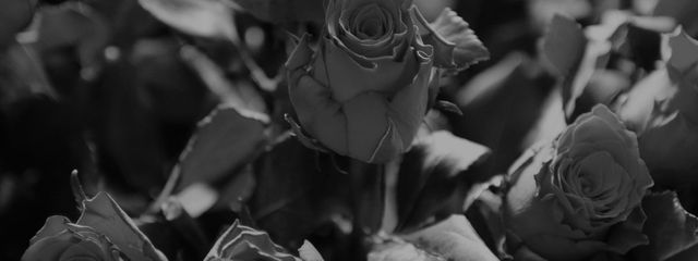 Sさんの壁紙画像