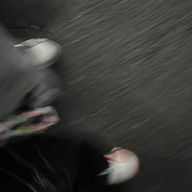 .さんのアイコン画像