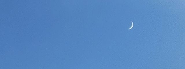 はるさんの壁紙画像