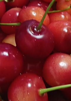 参加型　オリキャラ　設定