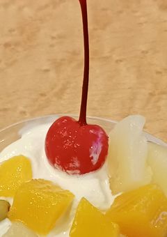 主食が鳥とさくらんぼ　商品取り扱い説明書