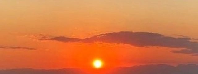 まなごんさんの壁紙画像