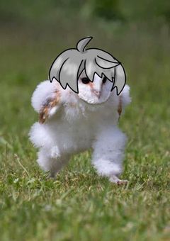 心友と番になるまでのおはなし。