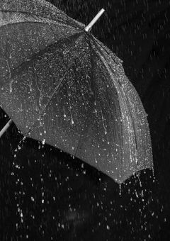 い　つ　か　の　雨　。