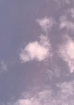 宣伝③✨