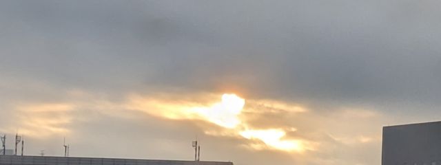 いかりんぐさんの壁紙画像