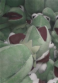 About  Me 〰🦖❕