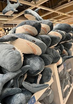 Talk Room  ➿🗣🌀