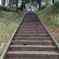 Aoさんのアイコン画像