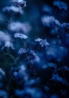 僕は嫌われ者。