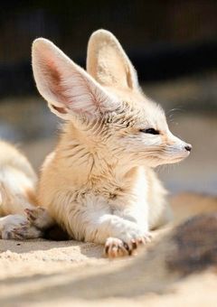 カーテンコールのその先に【休載】