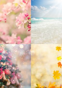 4 seasons（短編）