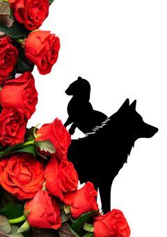 Make you feel my love