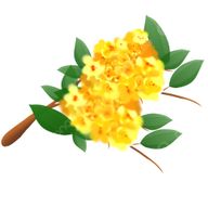 HSZR7-813さんのアイコン画像