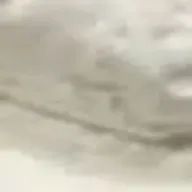 華さんのアイコン画像