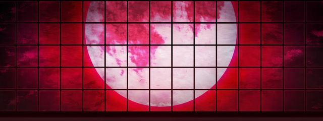 龍花さんの壁紙画像