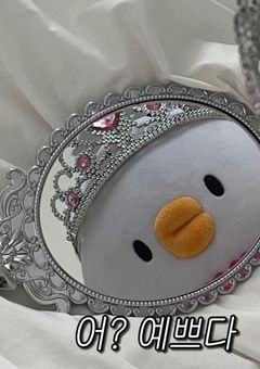 道で芸能人を拾った