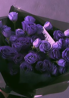 QuizKnock短編ストーリー