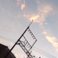 みすずさんのアイコン画像