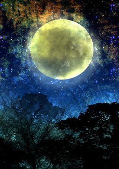 月夜の歌姫