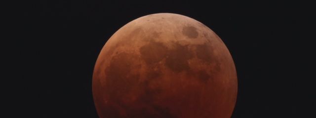 月夜さんの壁紙画像