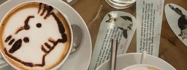 Luanさんの壁紙画像