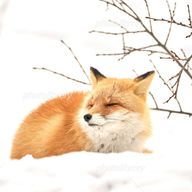 ユーザーページへ