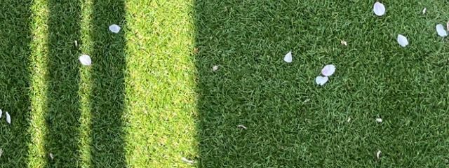 𓂃꒰ঌꪔ̤̥★𝒽𝒶𝓏𝓊𝓀𝒾★ꪔ̤̥໒꒱𓂃𓃺𓈒𓏸さんの壁紙画像