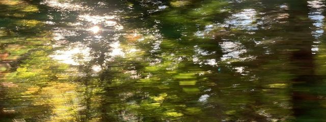 Nyaさんの壁紙画像