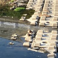 Nyaさんのアイコン画像