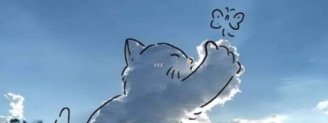 珠璃さんの壁紙画像