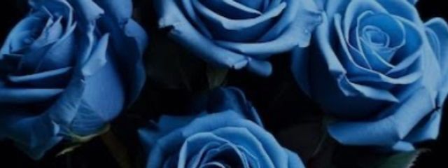 Ami🧸🌹さんの壁紙画像