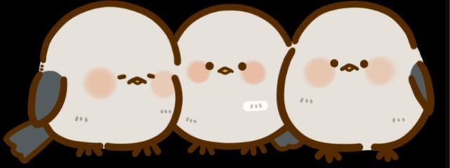 いるかさんの壁紙画像