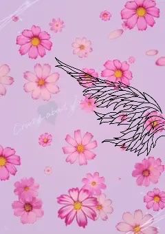 愛した人は、最強の片割れ