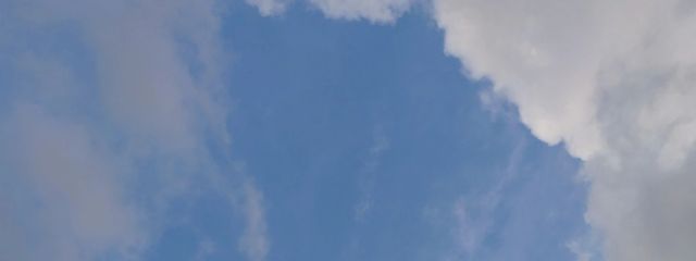 茶。さんの壁紙画像