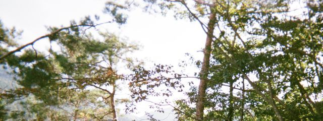 璃 依 。さんの壁紙画像