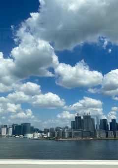 たんしようるい🌱さん専用部屋〜