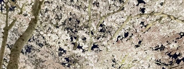 ゆりなさんの壁紙画像